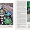 A two-page spread from "Magical Fairy Homes and Gardens" by Schiffer Publishing, Ltd. showcases whimsical fairy dwellings crafted from wood, succulents, and bark, plus introductory text on fairies and designing fairy houses.