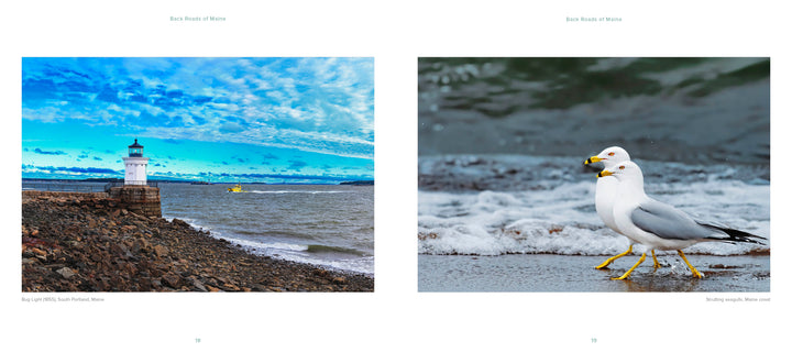 Left: A lighthouse at the end of a rocky pier with blue skies features on "Back Roads of Maine" by Schiffer Publishing, Ltd. Right: Two seagulls stroll along wet sand with gentle waves behind, capturing Maine’s scenic beauty.