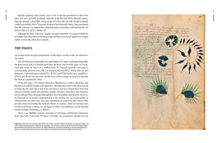 Voynich Reconsidered by Schiffer Publishing, Ltd. explores pages of the enigmatic Voynich manuscript, featuring faded botanical illustrations—green plants and spiky forms—framed by cryptic handwritten text in an unknown script.