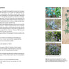 Voynich Reconsidered by Schiffer Publishing, Ltd. features a book spread with text on lupins and five labeled plant photos—plant, close-up flowers, pressed specimens, and seed diagram—echoing the style of the Voynich manuscript.