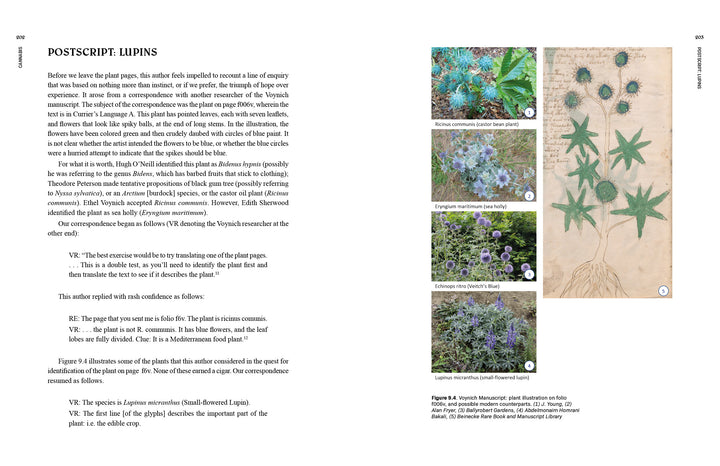 Voynich Reconsidered by Schiffer Publishing, Ltd. features a book spread with text on lupins and five labeled plant photos—plant, close-up flowers, pressed specimens, and seed diagram—echoing the style of the Voynich manuscript.
