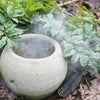 On the forest floor, a round white clay pot emits smoke amid green plants and brown leaves—a tranquil scene from "Essence and Ember" by Schiffer Publishing, Ltd., ideal for fans of holistic incense crafting with herbs and resins.