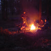 Four people sit and one stands around a glowing campfire at dusk, sharing stories and skills featured in Core Bushcraft by Schiffer Publishing, Ltd. Their faces are lit by firelight amid tall trees, creating a peaceful outdoor atmosphere.