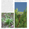 A page from Core Bushcraft by Schiffer Publishing, Ltd. shows tips on trees and plants, featuring photos of wild garlic leaves (left) and an elderberry bush with clusters of tiny white flowers (right).