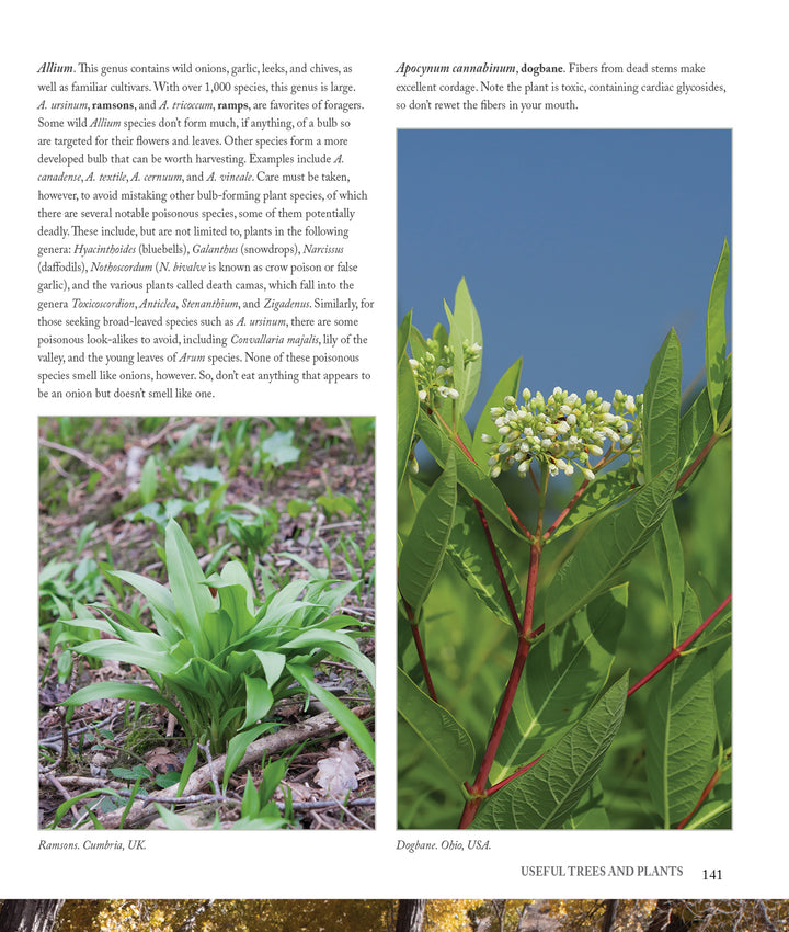 A page from Core Bushcraft by Schiffer Publishing, Ltd. shows tips on trees and plants, featuring photos of wild garlic leaves (left) and an elderberry bush with clusters of tiny white flowers (right).
