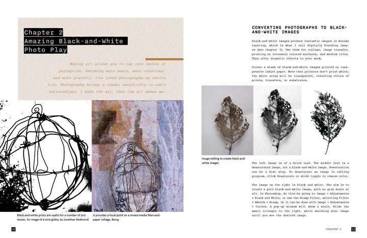 A book spread in "Explorations with Collage!" by Schiffer Publishing, Ltd. features abstract black-and-white art, tips for converting photos to black and white, and three leaf photos inspired by Wen Redmond’s mixed-media style.