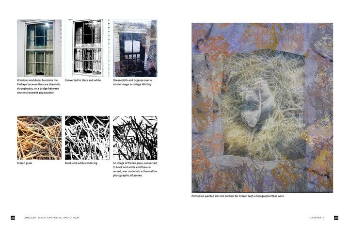 Explorations with Collage! by Schiffer Publishing, Ltd. showcases digital collage techniques through window photos, black-and-white grasses, and a central mixed-media piece printed on a painted mat with metallic and organic fiber accents.