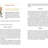 The Awakening Tarot by Schiffer Publishing, Ltd. features the “Visionary of Fire” card, showing a fiery, red-haired figure with fire wings, chili peppers, and flames, capturing elemental spirituality. The card’s keywords and description appear on the page.