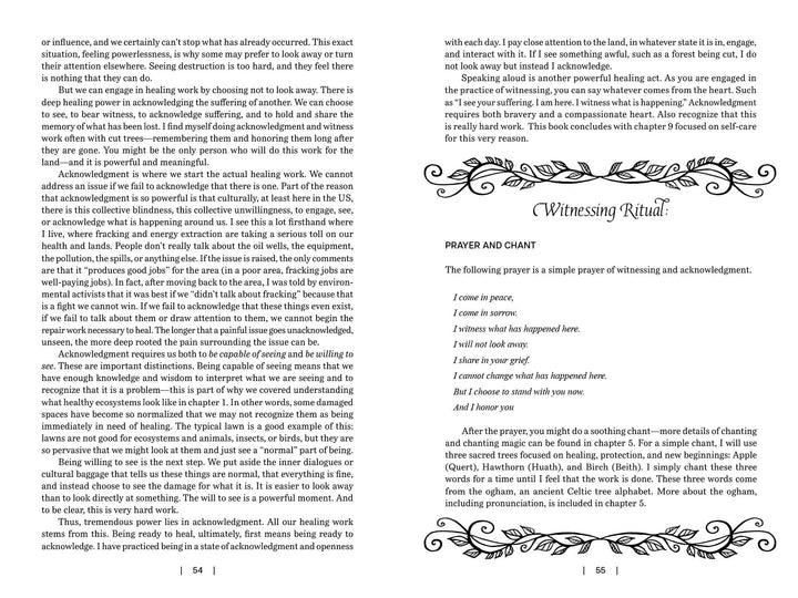 A two-page spread from Land Healing by Schiffer Publishing, Ltd.: the left page explores presence and acknowledgment, while the right page has floral borders, a "Witnessing Ritual" title, an earth healing prayer, chant, and ritual instructions.