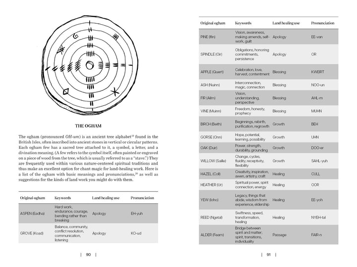 On the left, Land Healing by Schiffer Publishing, Ltd. features a circular Ogham alphabet diagram; on the right, a table displays symbols, keywords, earth healing uses, and pronunciations, all in book-style pages.