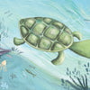 In Splish, Splash! First to Last by Schiffer Publishing, Ltd., a green turtle meets a pink seahorse near a purple “SHACK SNACK” shell as small sea creatures illustrate ordinal numbers and early math in a vibrant ocean adventure.