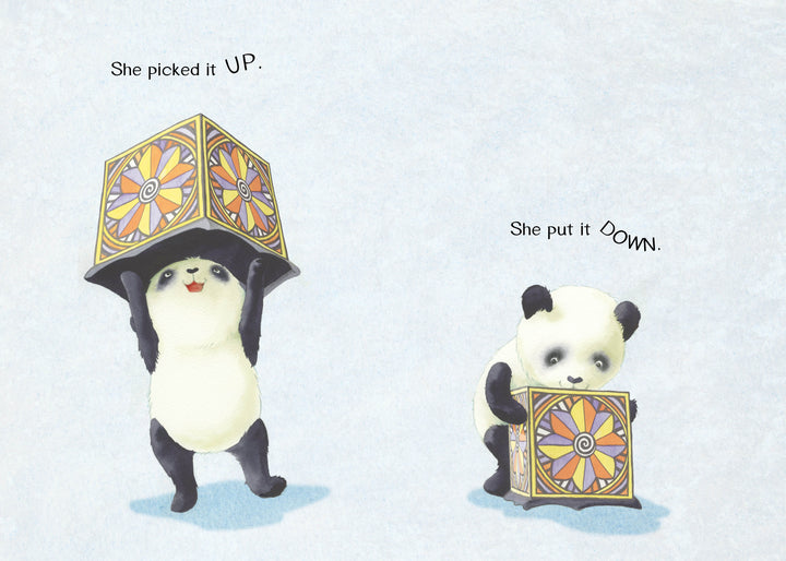 In The Magic Box by Schiffer Publishing, Ltd., a panda holds a colorful box with “She picked it UP,” then sets it down beside “She put it DOWN.” This opposites picture book is perfect for emerging readers.
