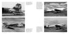 Four black-and-white photos of WWII C-47 Skytrain transport aircraft on airfields, featuring US Air Force insignia, close-ups, and side views under open skies. Product by Schiffer Publishing, Ltd.
