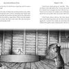 A black-and-white illustration from "Mac and the Millstone of Time" (Schiffer Publishing, Ltd.) shows three mice in Old Wye Mill—one stands on a stone, speaking to the others by spilled grain as sunlight streams through the wall. Ideal for early chapter books.