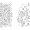 Discover intricate floral mandalas and a decorated llama amid cacti in the Beautiful World Coloring Book by Schiffer Publishing, Ltd.—perfect detailed patterns for adult coloring enthusiasts.