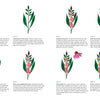 Happy Flower Painting for Beginners by Schiffer Publishing, Ltd. is a step-by-step guide to painting gladiolus and coneflowers with acrylics, teaching beginners to create stems, leaves, buds, and flowers using various brush strokes and colors.
