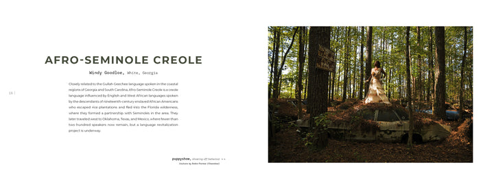 In a sunlit forest, a woman in a long dress atop an old car evokes the resilience of Indigenous languages, inspired by "On the National Language" from Schiffer Publishing, Ltd., among tall trees and fallen leaves.