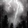 A dramatic bolt of lightning pierces a stormy sky above a dense forest in this black and white image, “11. THE LIGHTNING STRIKE,” from The Bloodlands Oracle by Schiffer Publishing, Ltd.—a haunting, nature-themed oracle deck.