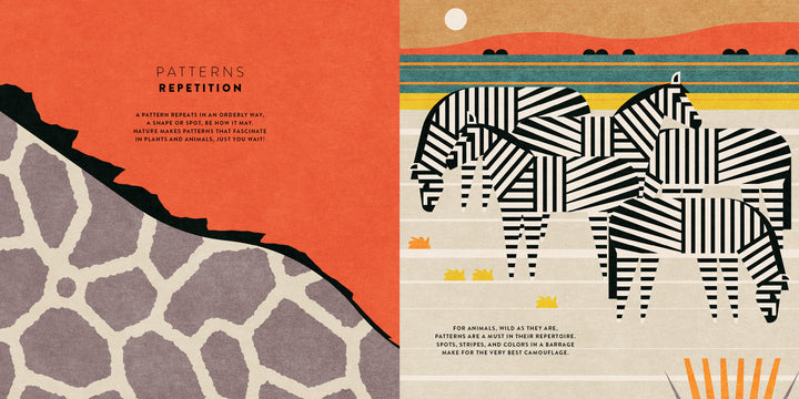 A stylized image from "The Mathematics of the Universe" by Schiffer Publishing, Ltd. features a giraffe print on orange beside two abstract zebras amid grass and water lines—ideal for illustrating mathematical patterns to children.