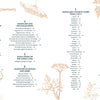 Saint Hildegard’s Guide to Wellness by Schiffer Publishing, Ltd. features a table of contents with nine illustrated sections and botanical herb drawings, exploring Hildegard of Bingen, herbal medicine, nutrition, and holistic cosmetics.