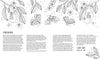 Fairy Tales & Folklore Coloring Book by Schiffer Publishing, Ltd. features black and white line art of butterflies, a mouse, leaves, flowers, and fairy doors, plus a foreword and text by Claire Eadie about her inspiring coloring journey.