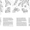 Fairy Tales & Folklore Coloring Book by Schiffer Publishing, Ltd. features black and white line art of butterflies, a mouse, leaves, flowers, and fairy doors, plus a foreword and text by Claire Eadie about her inspiring coloring journey.