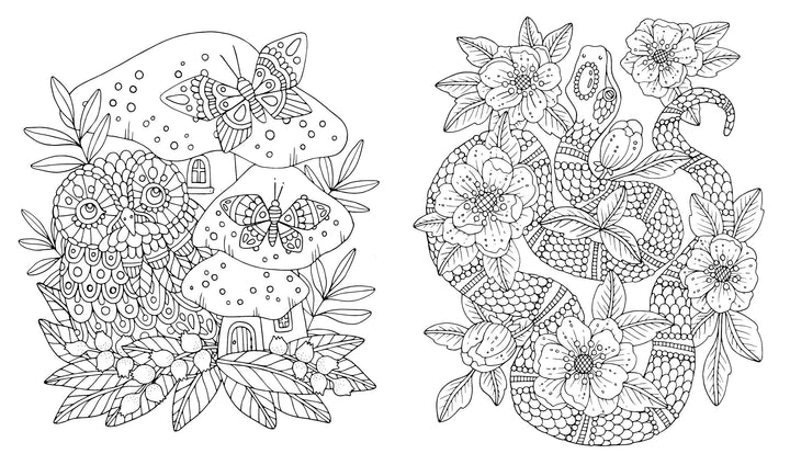 From Schiffer Publishing, Ltd.’s Fairy Tales & Folklore Coloring Book: two detailed black-and-white illustrations—one with an owl, mushrooms, and butterflies; the other with a snake among flowers. Perfect for adult coloring enthusiasts.