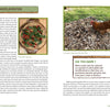 A spread from Schiffer Publishing, Ltd.'s "Adventures in Backyard Gardening" shows a close-up of spinach pizza, a chicken on grass, nature facts in a green “Did You Know?” box, and text about growing your own food.
