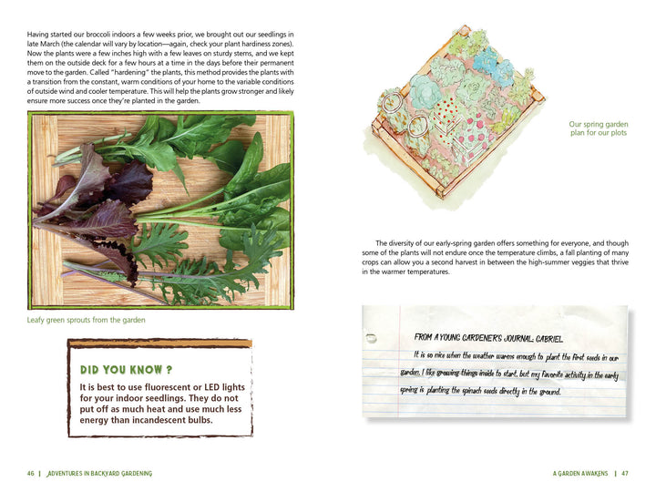 A page from "Adventures in Backyard Gardening" by Schiffer Publishing, Ltd. features text, a photo of mixed leafy greens on a plate, a garden plan, and a handwritten journal—ideal inspiration for gardening and nature education.