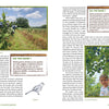 Adventures in Backyard Gardening" by Schiffer Publishing, Ltd. features text on berry growing, photos of blueberries, children picking berries—great for kids—and green Did You Know? fact boxes throughout the magazine spread.