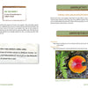 Adventures in Backyard Gardening by Schiffer Publishing, Ltd. features gardening tips, a mushroom photo, a handwritten journal entry, and a fun fungi-finding activity—ideal for nature education or gardening with kids, including links and section headings.