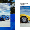 A man in a yellow shirt stands beside a Chevrolet Corvette by Schiffer Publishing, Ltd., parked on a sandy beach near the ocean with palm trees and blue sky in the background. Another blue sports car is beside it.