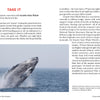 Experience Gettin' Nautical in New England by Schiffer Publishing, Ltd.—where whale breaches near your boat offer unforgettable moments for travelers seeking unique New England adventures. Perfect for capturing and cherishing majestic nautical scenes.