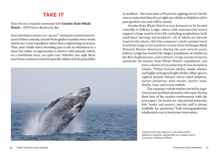 Experience Gettin' Nautical in New England by Schiffer Publishing, Ltd.—where whale breaches near your boat offer unforgettable moments for travelers seeking unique New England adventures. Perfect for capturing and cherishing majestic nautical scenes.