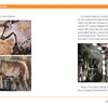 Two pages from "Transit Tourism" by Schiffer Publishing, Ltd. display prehistoric cave art and a red-rock walled Stockholm subway, tracing the city’s journey from ancient dwellings to its modern metro architecture.