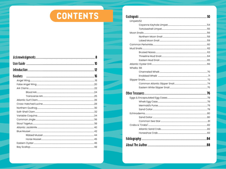 The "Seashells of the Jersey Shore" table of contents by Schiffer Publishing, Ltd. features an orange “Contents” heading and two white columns listing topics like acknowledgments, user guide, bivalves, gastropods, and more on a blue patterned background.