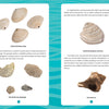 In "Seashells of the Jersey Shore" by Schiffer Publishing, Ltd., two pages feature labeled Jersey Shore shells and coral, with the left page showing clam shells, sponge, coral, and the right page displaying holed clam shells and sun-bleached coral on blue waves.