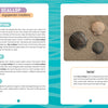 Seashells of the Jersey Shore by Schiffer Publishing, Ltd. includes a two-page spread on bay scallops with shell images, habitat and eating details, plus fun swimming facts—perfect for New Jersey beachcombing fans and seashell collectors.