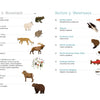 A page from Schiffer Publishing, Ltd.'s "The Field Guide to Embroidery" shows illustrated North American animals and birds—organized by Mountain and Waterways sections with numbered entries—perfect for wildlife embroidery pattern inspiration.