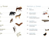 The Field Guide to Embroidery by Schiffer Publishing, Ltd. features a table of contents with Forest and Ocean sections plus charming animal sketches—ideal inspiration for North American wildlife and ecosystem embroidery projects.