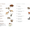 The Field Guide to Embroidery by Schiffer Publishing, Ltd. features a contents page with illustrations of Prairie and Urban animals—like bison, coyote, and wildflowers—ideal for North American wildlife or animal embroidery pattern inspiration.