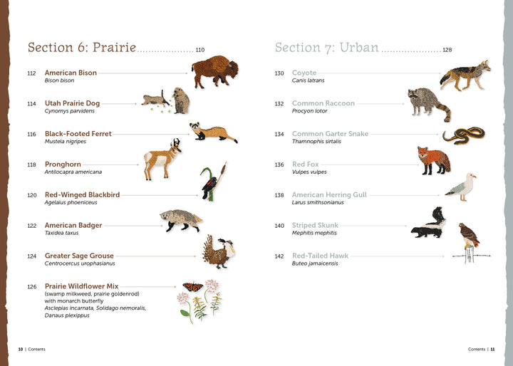 The Field Guide to Embroidery by Schiffer Publishing, Ltd. features a contents page with illustrations of Prairie and Urban animals—like bison, coyote, and wildflowers—ideal for North American wildlife or animal embroidery pattern inspiration.