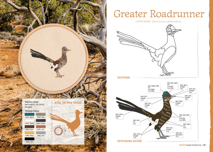 The Field Guide to Embroidery by Schiffer Publishing, Ltd. offers a Greater Roadrunner pattern with a color photo, stitched sample, outline, color code chart, and labeled guide—ideal for North American wildlife embroidery fans.