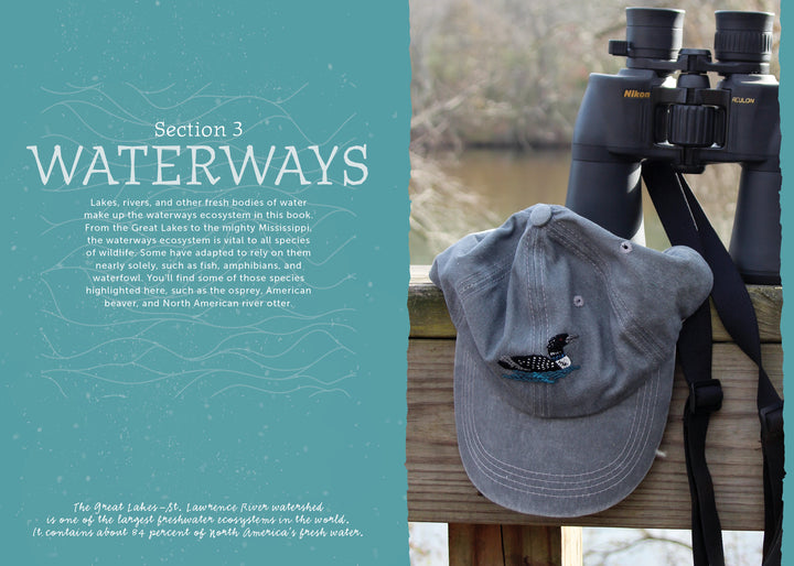 A pair of Nikon binoculars and a gray cap with a bird patch hang on a wooden post by calm water. On the left, text about North American wildlife and The Field Guide to Embroidery by Schiffer Publishing, Ltd. appears on a blue background.