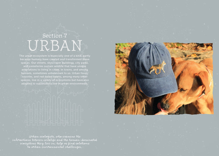 A woman in a blue cap with a cheetah patch, inspired by The Field Guide to Embroidery from Schiffer Publishing, Ltd., nuzzles a brown dog among autumn leaves outdoors. Urban ecosystem text is shown on the image's left side.