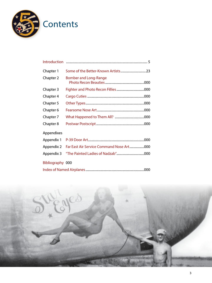 The table of contents for *Nose Art of the 5th Air Force* by Schiffer Publishing, Ltd. features a WWII aircraft insignia top left, chapters right, and a faded photo of a woman with 5th Air Force Star Eyes nose art below.