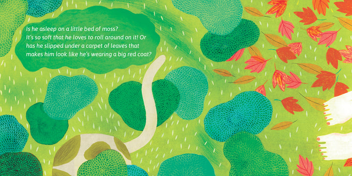 Illustrated scene of green foliage, moss, and autumn leaves. Like a children’s art book page, Frisky Face the Naughty Cat’s white tail peeks out—sleeping on moss or hidden under leaves? From Schiffer Publishing, Ltd.