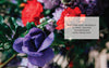 A close-up of vibrant flowers and green foliage features overlaid text: "Chapter 5." Discover eco-friendly flower arranging techniques in Starting Your Floral Design Studio from Schiffer Publishing, Ltd.