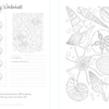 The By the Seaside Coastal Coloring Book by Schiffer Publishing, Ltd. includes worksheets with shell swatches, marine patterns, a question on coral fluorescence, and sand dollar designs for creative coastal coloring.