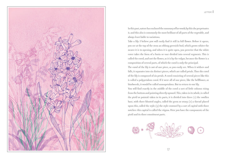 A page from "Atlas of Elementary Botany" by Jean-Jacques Rousseau (Schiffer Publishing, Ltd.), fusing plant collecting with Enlightenment philosophy inspired by Rousseau's botanical letters.
